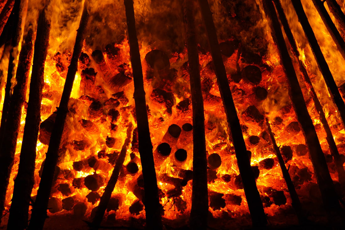 Witnessing the worst Amazon fire ever, here's how we can save our Earth in small ways!