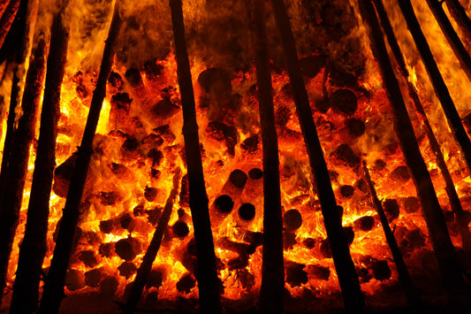 Witnessing the worst Amazon fire ever, here's how we can save our Earth in small ways!