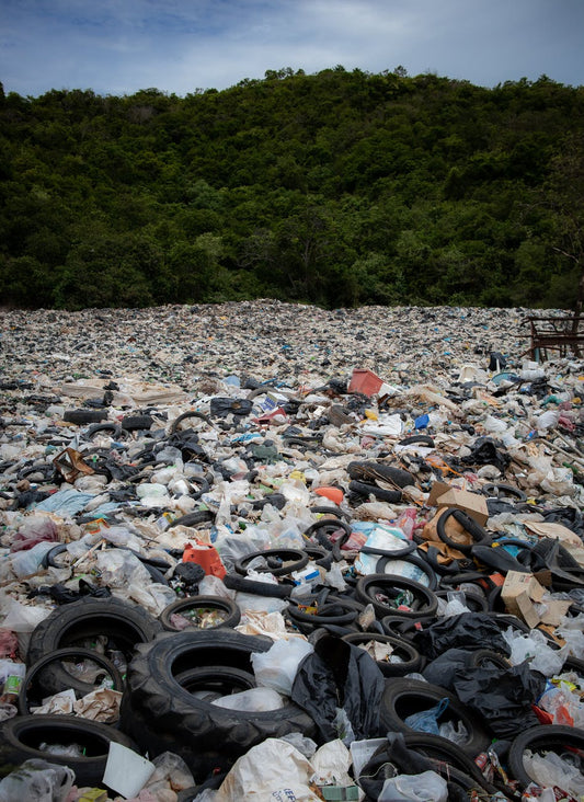 ENVIRONMENTAL DEGRADATION- HOW FAR HAVE WE ARRIVED?