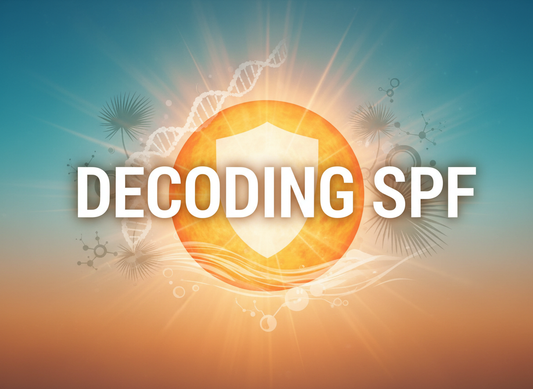 How to Choose the Right Sunscreen : The Ultimate Guide